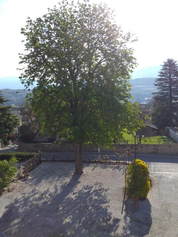 Hotel Villa Mayr Rooms & Suites Bressanone Exterior foto